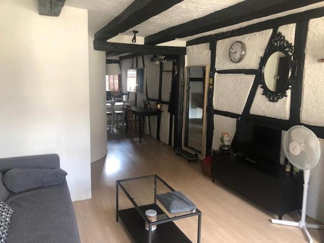 Le Secret Des Tanneurs Apartment Colmar Exterior photo